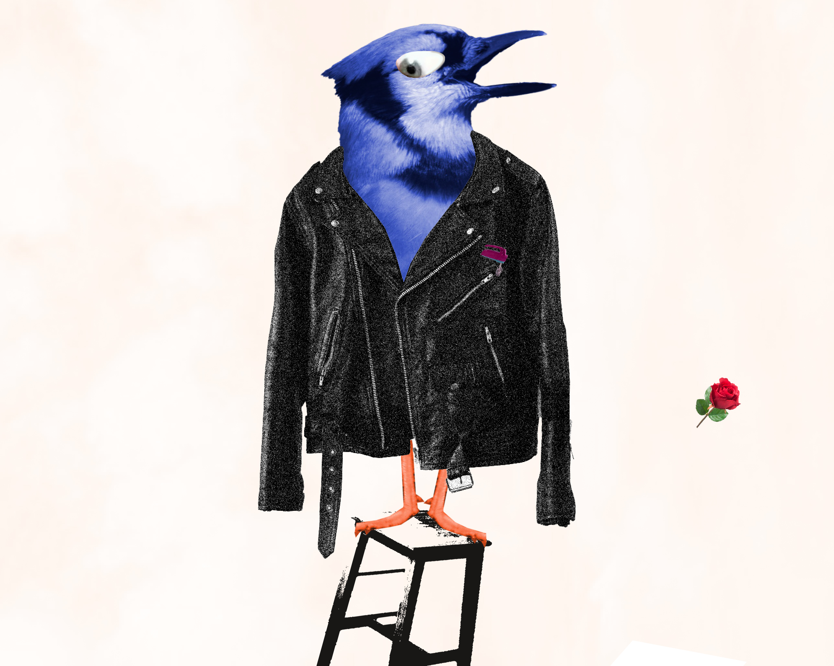 sceneouverte 22-23.jpg