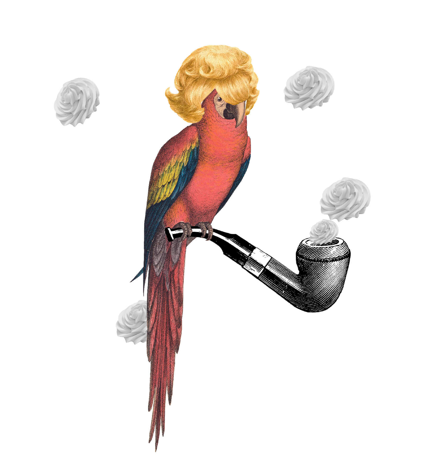 Spectacles - La Maison du Récit